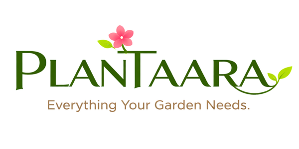 Plantaara